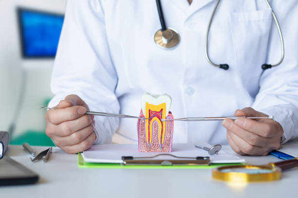 Best Emergency Root Canal Treatment in West Chester, PA